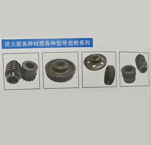 各种型号齿轮系列